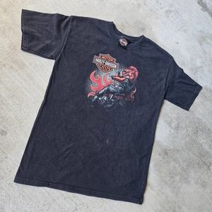 2011 Youth Harley-Davidson Nevada Hog Shirt Sz L